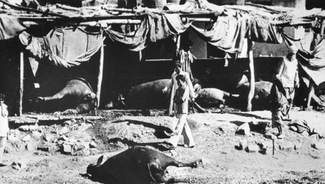 The Wounds of Poison Gas: 500,000 Exposed, and the Truth Still Eludes Us